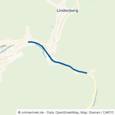 Staatsstraße 67473 Lindenberg 