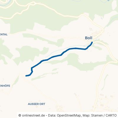 Hüttenwiesenweg Bonndorf im Schwarzwald Boll 