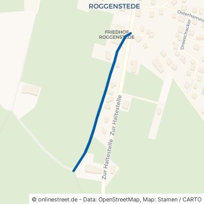 Woldenweg Dornum Roggenstede 