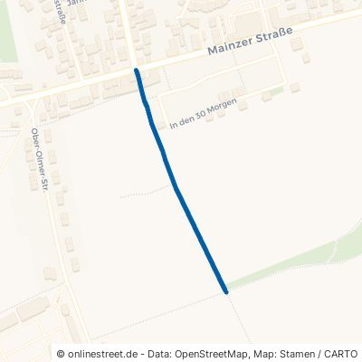Saulheimer Weg Wackernheim 
