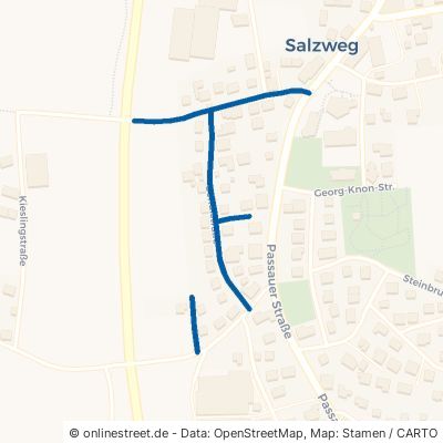 Schulstraße Salzweg 