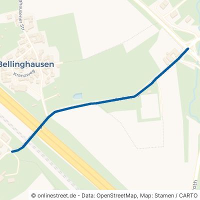 Libellenweg Königswinter Oberpleis 