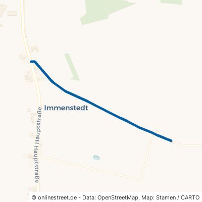 Jützbüttler Straße Immenstedt 