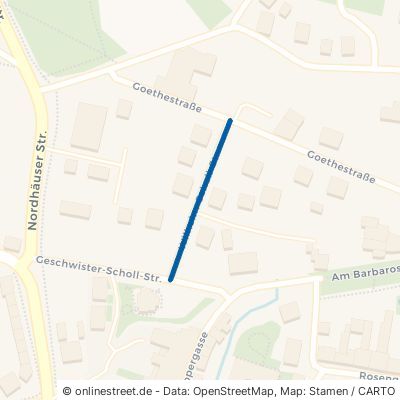 Wilhelm-Schall-Straße 06567 Bad Frankenhausen Bad Frankenhausen 