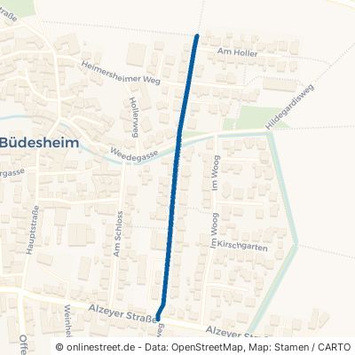 Moosbachstraße Erbes-Büdesheim 