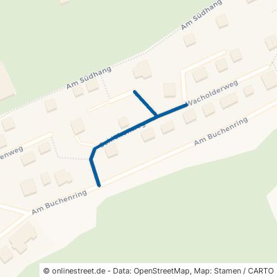 Schlehenweg 55442 Stromberg 