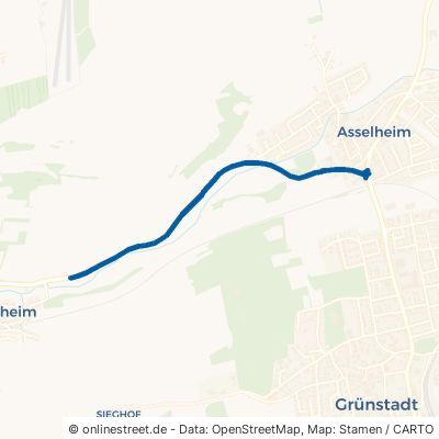 Eistalstraße Grünstadt Asselheim 