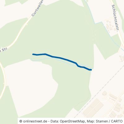 Grabenweg Waldshut-Tiengen 
