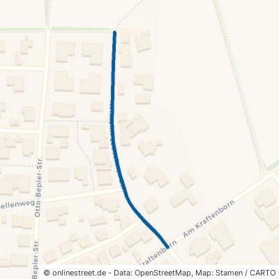 Wilhelm-Leuschner-Straße 63654 Büdingen Düdelsheim 