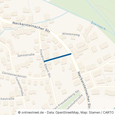 Wilhelmstraße 69250 Schönau 