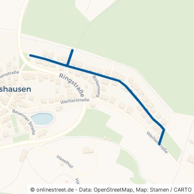 Buchenstraße Rabenau Allertshausen 