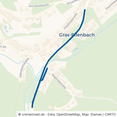Guntherstraße Grasellenbach 