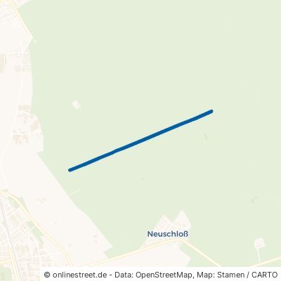 Wasenacker-Schneise 68623 Lampertheim 