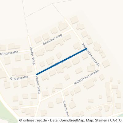 Frühlingstraße 97294 Unterpleichfeld Burggrumbach 