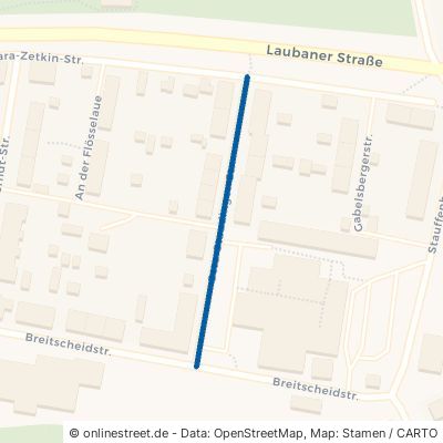 Otto-Staudinger-Straße 02708 Löbau 