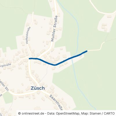 Fraubachtalstraße Züsch 