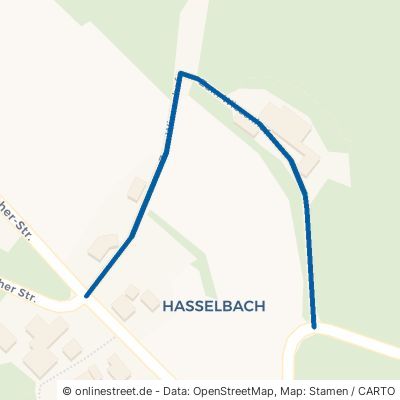 Zum Wiesenhof 54616 Winterspelt Hasselbach 