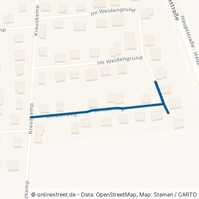 Ginsterweg Werpeloh 