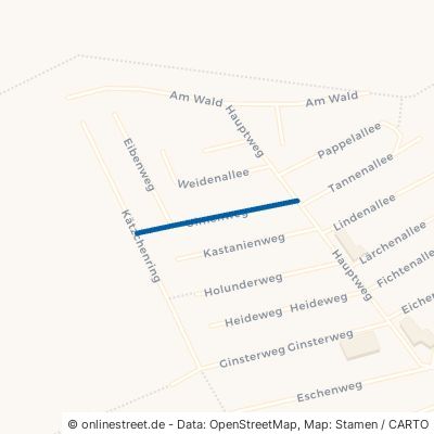 Ulmenweg Suderburg Hösseringen 
