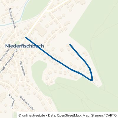 Hahnseifenstraße 57572 Niederfischbach 