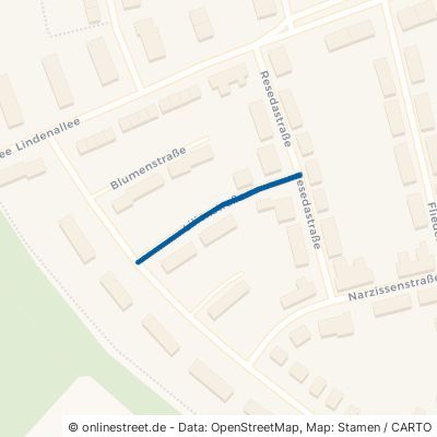 Lilienstraße 48527 Nordhorn 