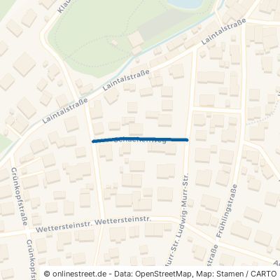 Schachenweg 82481 Mittenwald 