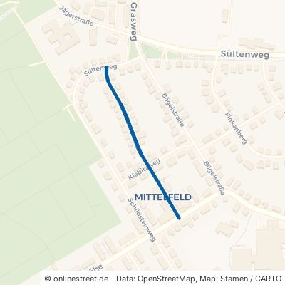 Sonninstraße Lüneburg Mittelfeld 