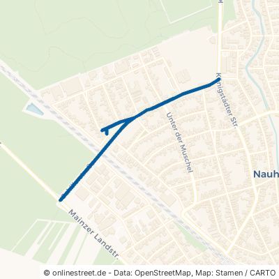 Schillerstraße 64569 Nauheim 
