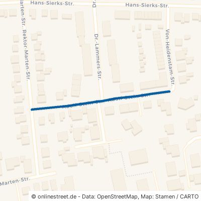 Adolf-Stein-Straße 25746 Heide 
