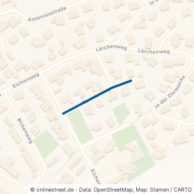 Tannenweg 57392 Schmallenberg 