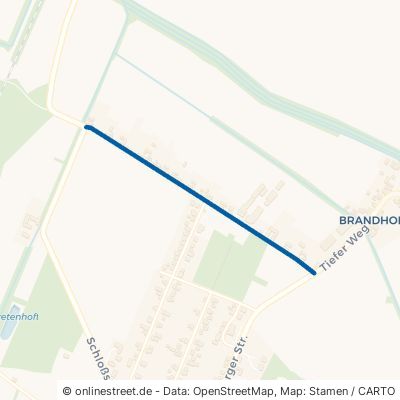 Lange Reihe Oranienbaum-Wörlitz Brandhorst 