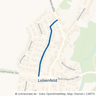 Blumenstraße Lobbach Lobenfeld 