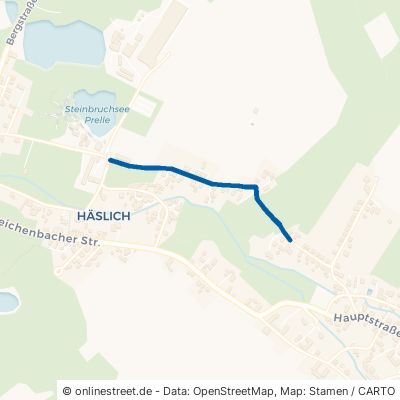Bischheimer Weg Haselbachtal Häslich 