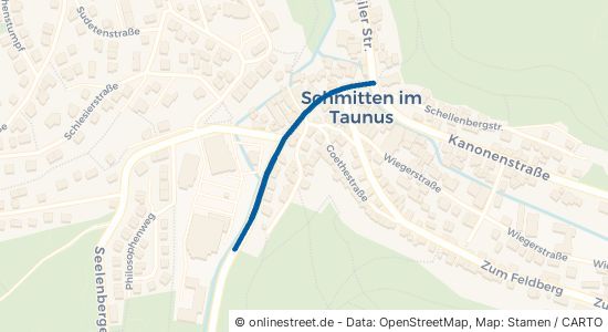 Schillerstraße 61389 Schmitten 