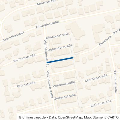Kastanienstraße Birkenfeld 