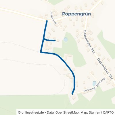 Hinterer Weg Neustadt (Vogtland) Poppengrün 