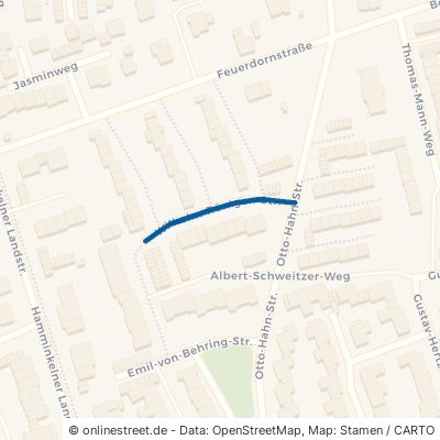 Wilhelm-Röntgen-Straße Wesel Blumenkamp 