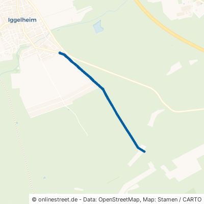 Dicker Baum Weg 67459 Böhl-Iggelheim Iggelheim 