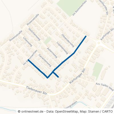 Nelkenstraße Sinzheim Ortsgebiet 