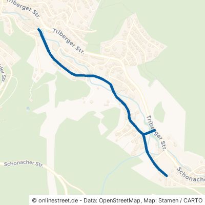 Untertalstraße Schonach im Schwarzwald 