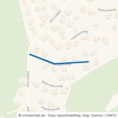Heckenrosenweg Grünsfeld 