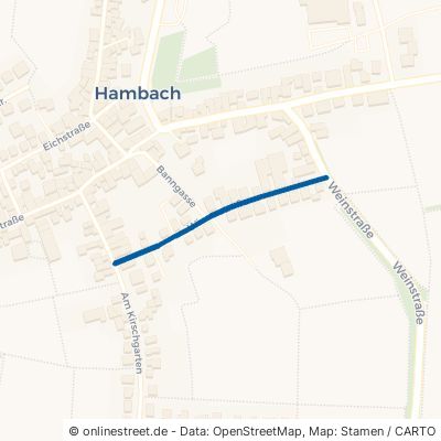 Winzerstraße 67434 Neustadt an der Weinstraße Hambach