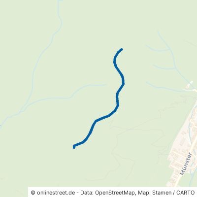 Laisackerkopfweg Münstertal Untermünstertal 