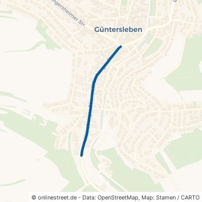 Würzburger Straße 97261 Güntersleben 
