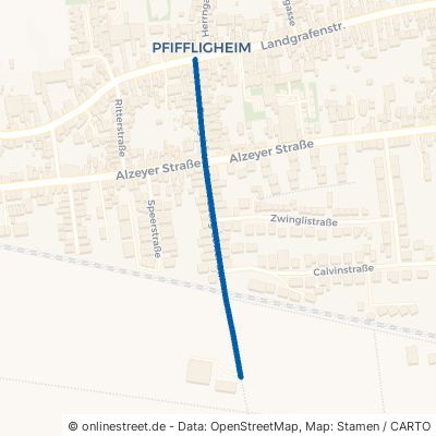 Georg-Löwel-Straße Worms Pfiffligheim 