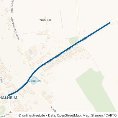 Wolfener Straße Bitterfeld-Wolfen Thalheim 