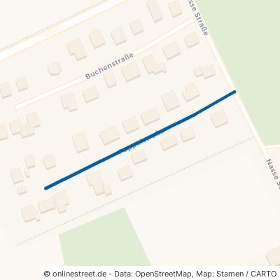 Pappelstraße Langwedel Holtebüttel 