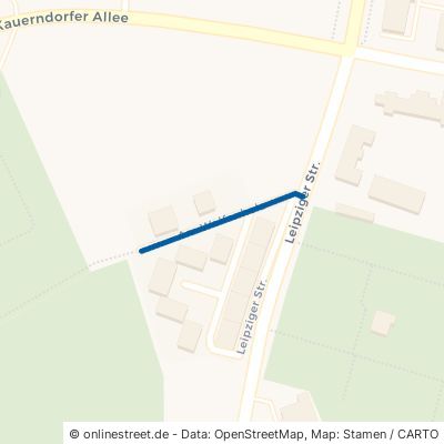 Am Wolfenholz 04600 Altenburg 