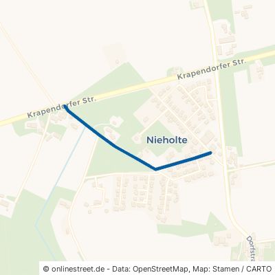 Nieholter Straße Lastrup Nieholte 