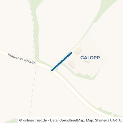 Galopp Leubnitz 